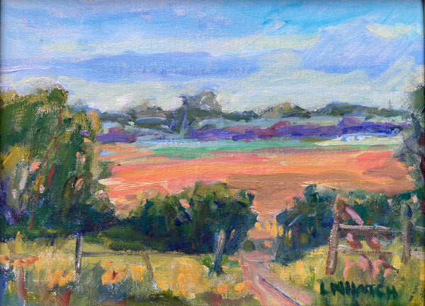 Summer Field Upsate South Carolina