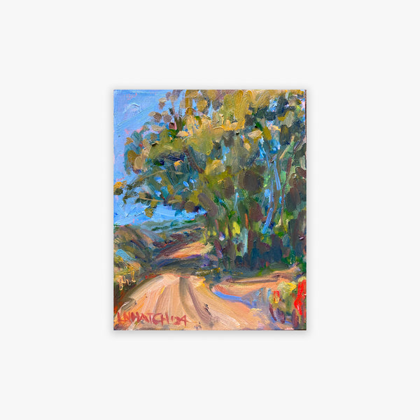 Summer Dirt Backroad