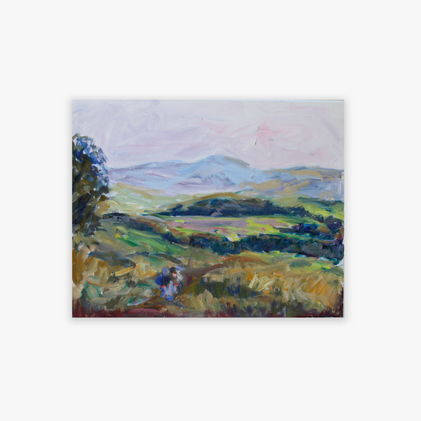 Walk in the Lake District